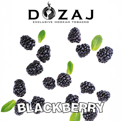 数量限定】ブラックベリー - DOZAJ(ドザジ) シーシャフレーバー 50g
