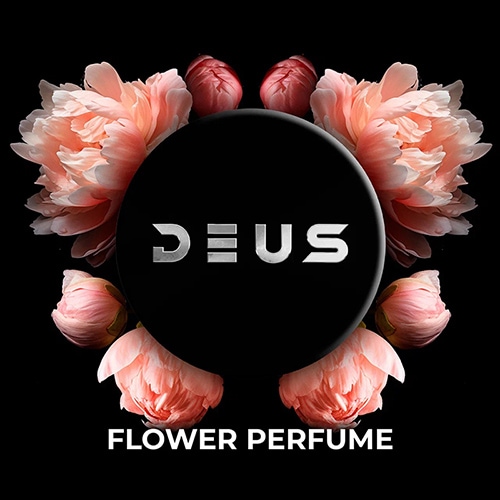 フラワーパルファム - DEUS(デウス)　 シーシャフレーバー 100g