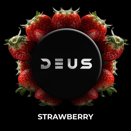 ストロベリー - DEUS(デウス)　 シーシャフレーバー 100g