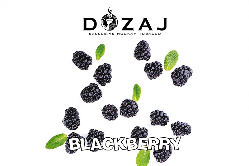 数量限定】ブラックベリー - DOZAJ(ドザジ) シーシャフレーバー 50g