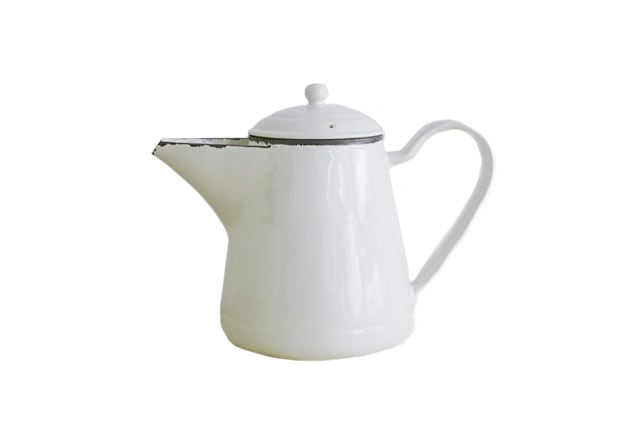 大井寛史　パールポット大　ペリカン