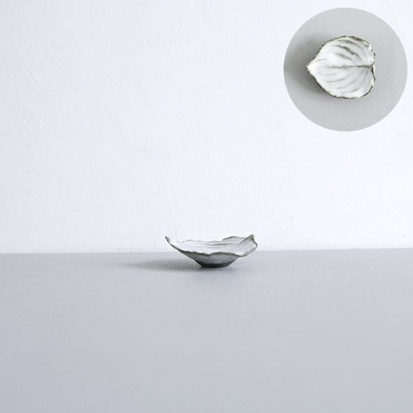 髙田志保　ヤマボウシ（白）6cm×6.5ｃｍ