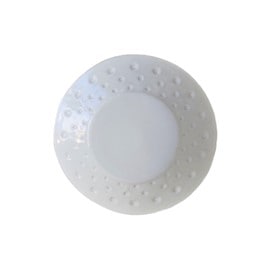 上國料正記　ドット皿　