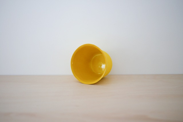 中囿義光　カラーソバチョコ（黄色）