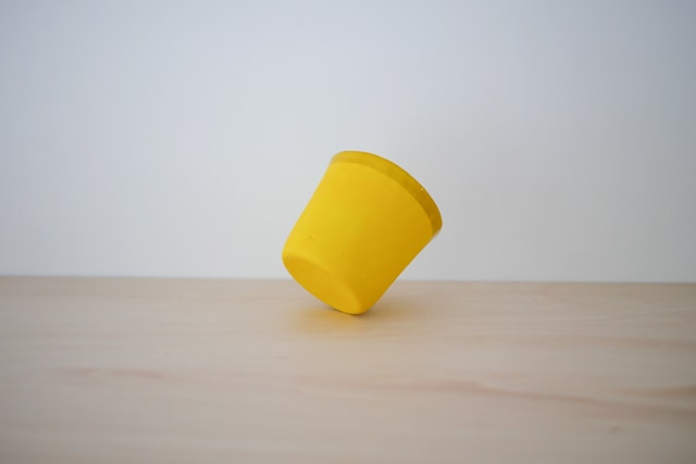 中囿義光　カラーソバチョコ（黄色）