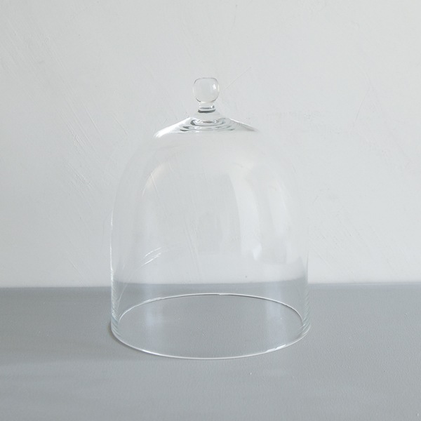 津村里佳　大きいドーム（M)