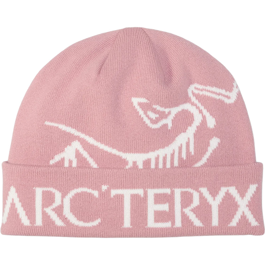 【新品未開封】Arc'teryx ロートークプリント Lサイズ 新品未開封】Arc'teryx ロートークプリント Lサイズ