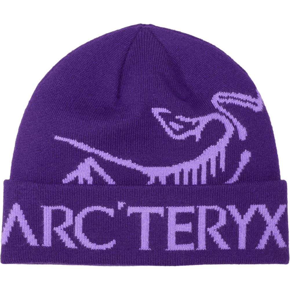 アークテリクス-ARCTERYX バードワードトークならアシーズブリッジが