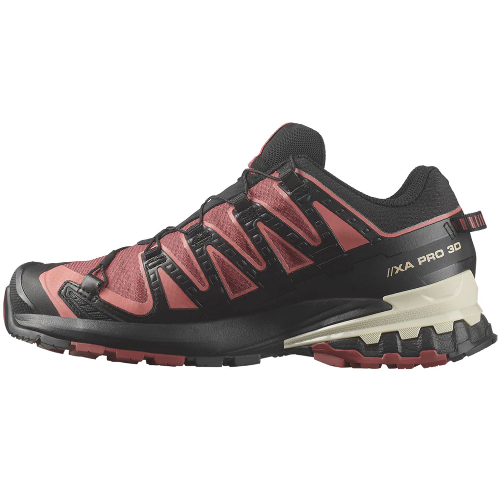 Buy FLEXCELL PRO BACK PROTECTION WOMEN'S by Salomon