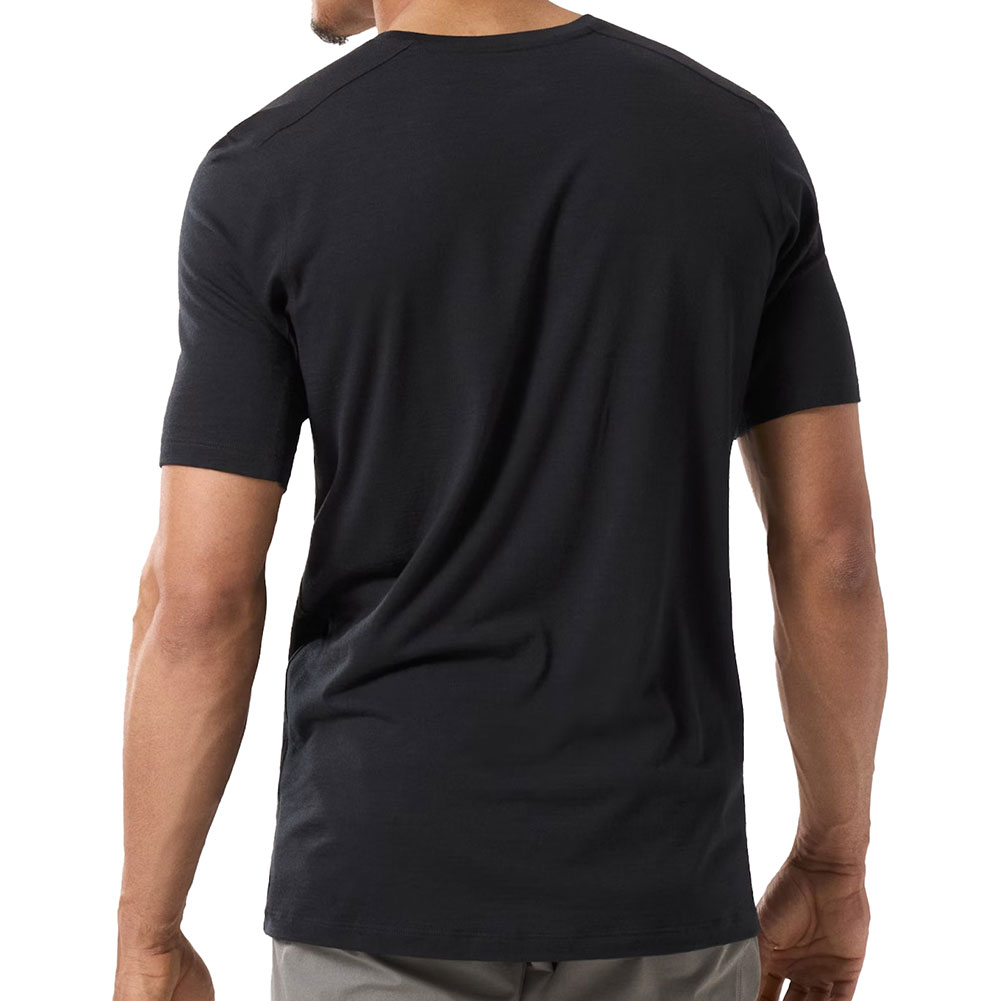 アークテリクス-ARCTERYX イオニアメリノウールアークワードロゴ