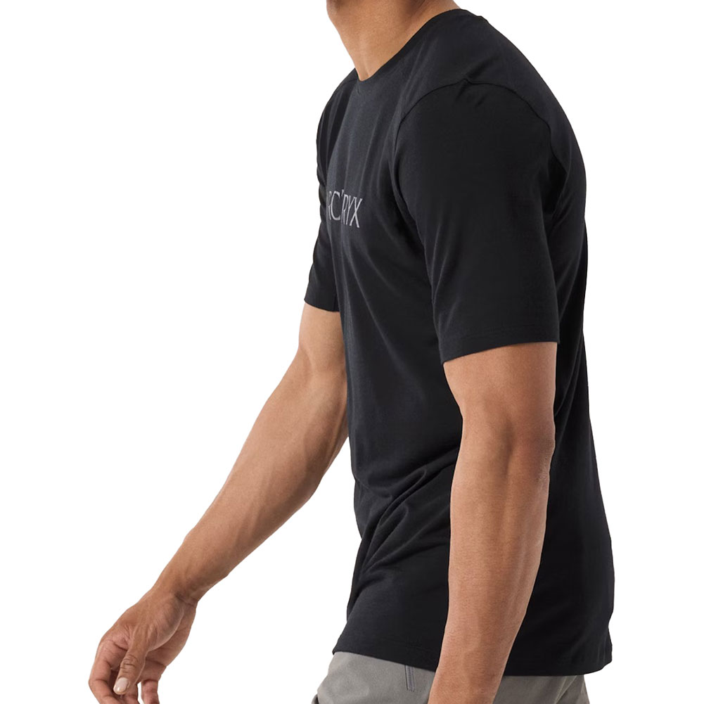 アークテリクス　イオニアメリノウールアークワードロゴショートスリーブ 楽天市場】【 即納 】 アークテリクス イオニア メリノウール