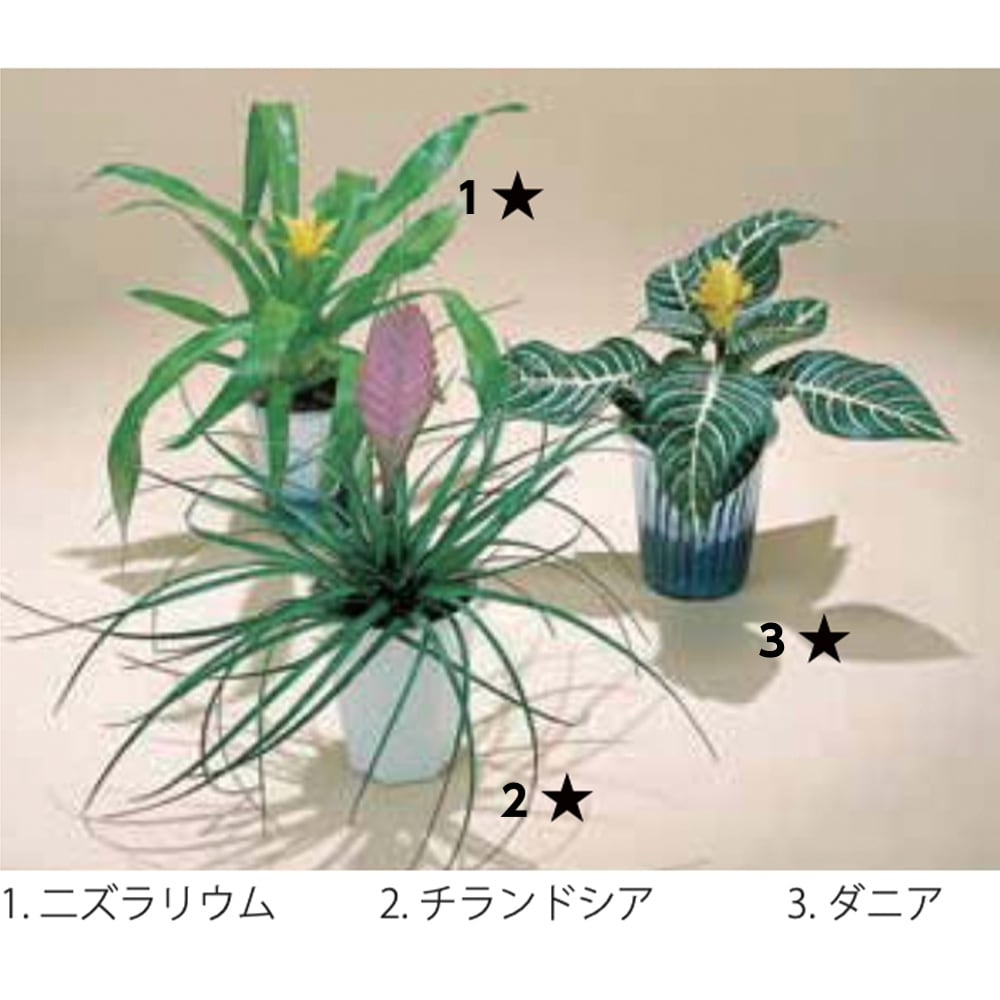 正月セール【新品】②YTYF 鉢 W約12.5cm ×H約7.3cm　マレーシア 新品】②YTYF 鉢 W約12.5cm ×H約7.3cmマレーシア