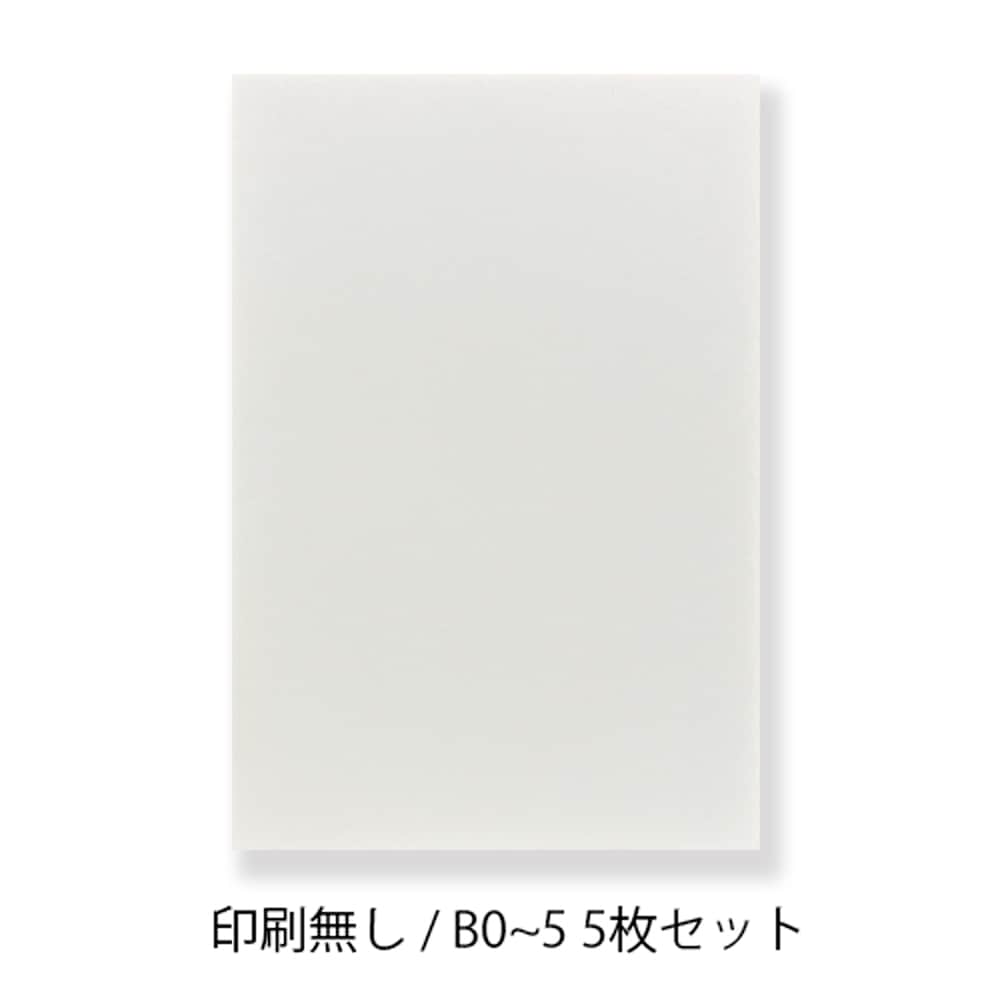 販売>スチレンボード / 印刷無し / B0~B5サイズ×5枚セット