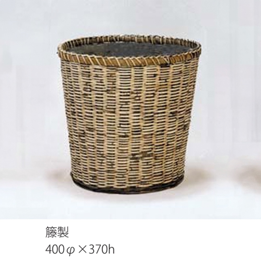 レンタル>植栽/大鉢 | すべての商品 | エキスポアシスト
