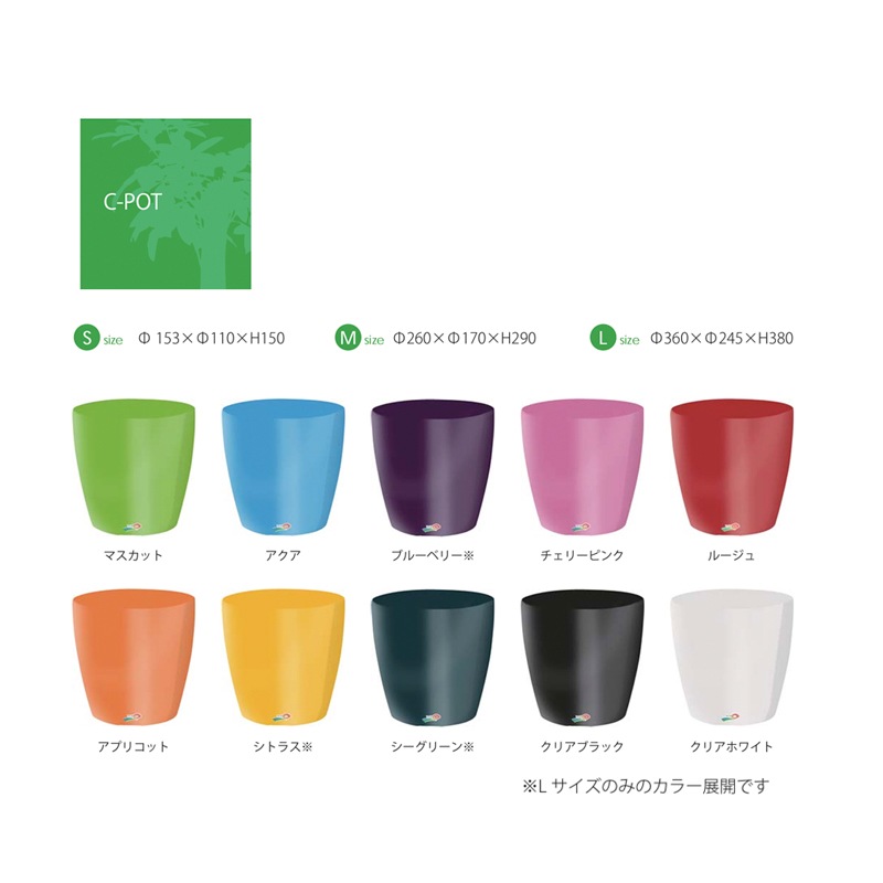 大鉢 CATEGORY 大鉢 | 芽の巣山