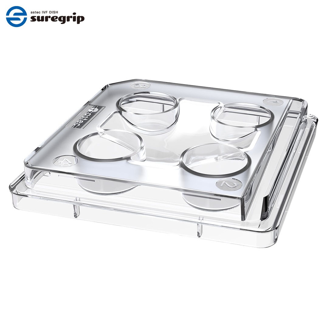 4 Well Dish (非親水処理)