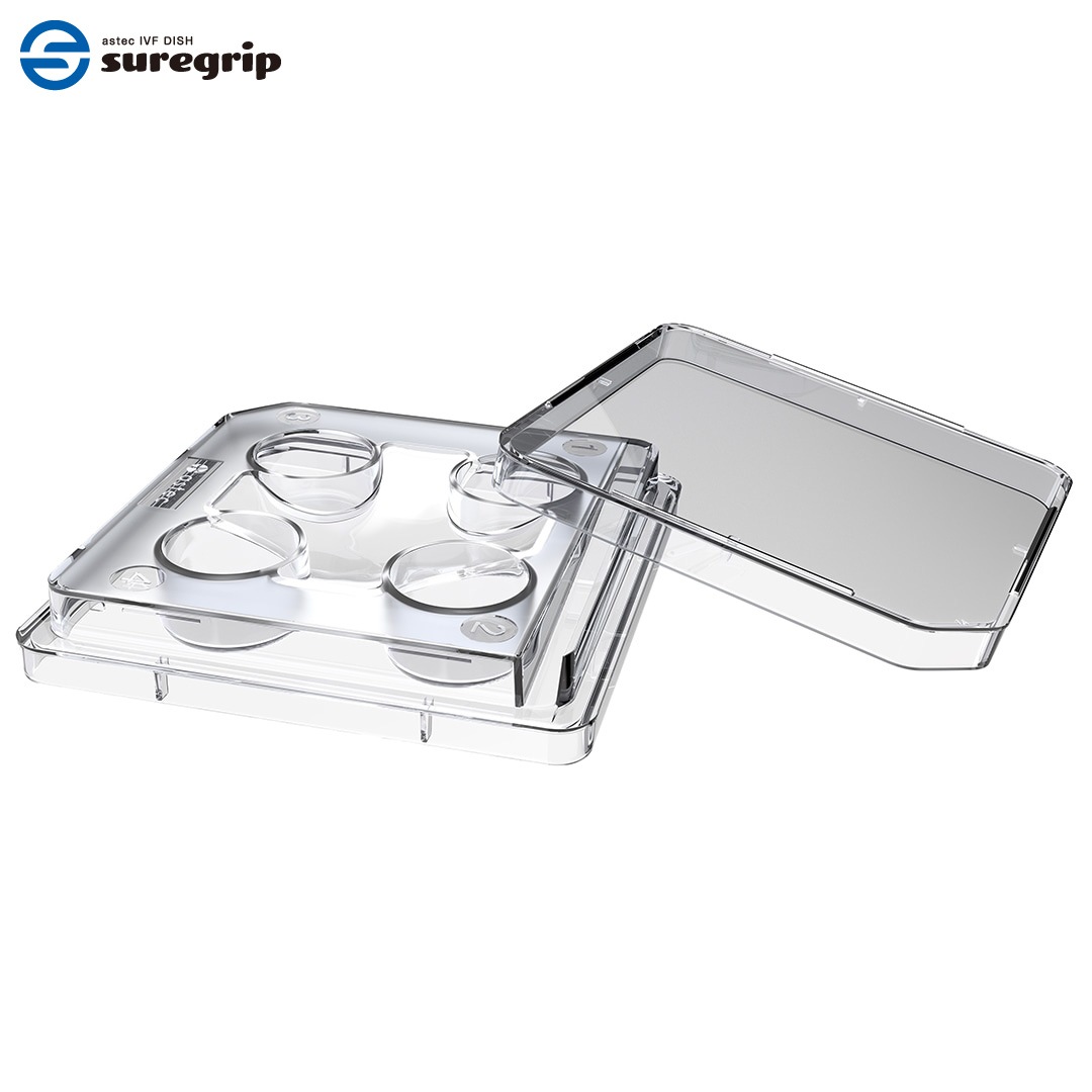 4 Well Dish (親水処理)