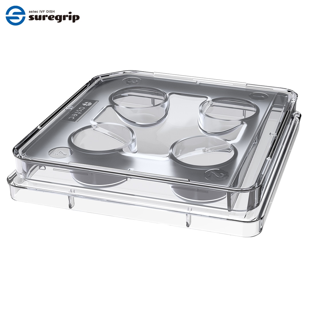 4 Well Dish (親水処理)