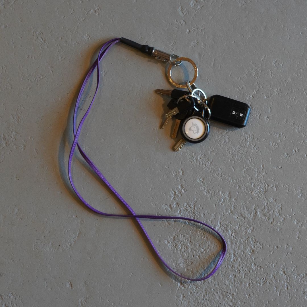DWELLER KEY RING BRASS WITH LEATHER STRAP by END | nonnative | A(e