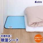 ドライ＆ドライ　防ダニ抗菌防臭！吸湿押入れシート 617-75