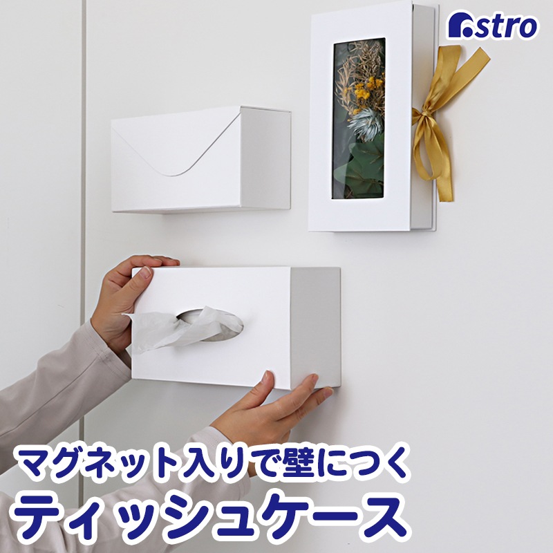 ASTROティッシュカバーASTRO枕カバー