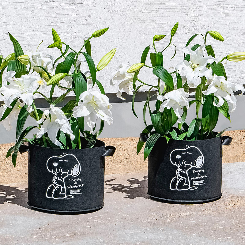 スヌーピーフェルトガーデンポット10号2枚組900-37 | 園芸用品,園芸