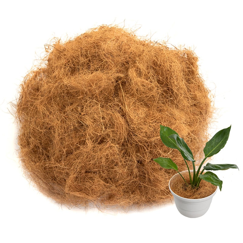 ここやし アストロ ココヤシファイバー 100g 624-02 1袋(100g)（直送品