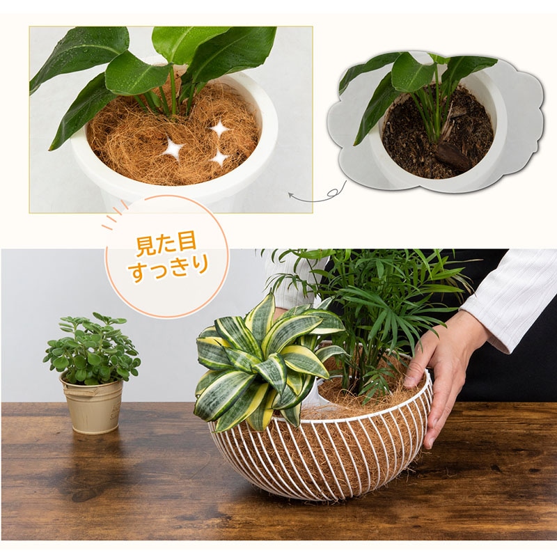 ココヤシファイバー300g624-03 | 園芸用品,園芸用品（その他