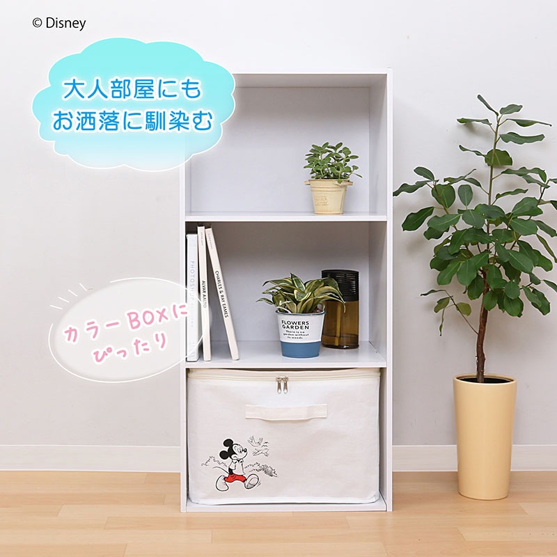 BlackFridayセール開催中】ディズニーデザイン マルチ収納ボックス