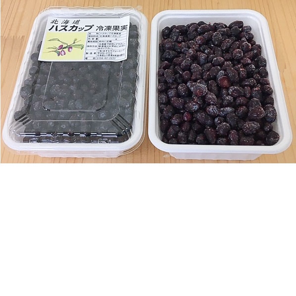 ハスカップ(冷凍果実) 優品2㌔(箱0.2㌔含む) ハスカップ(冷凍果実) 優品2㌔(箱0.2㌔含む) 果物