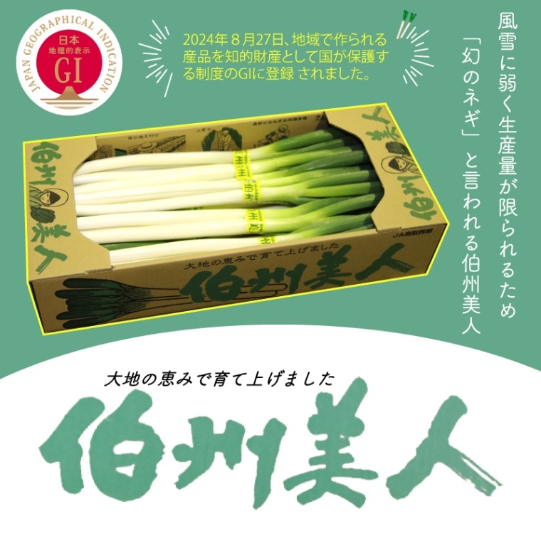 幻の白ねぎ【伯州美人】　2.5ｋｇ