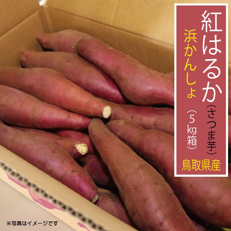 さつまいも「紅はるか」　5kg