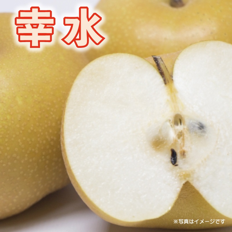 梨「幸水」１４玉入り・5ｋｇ箱【予約】