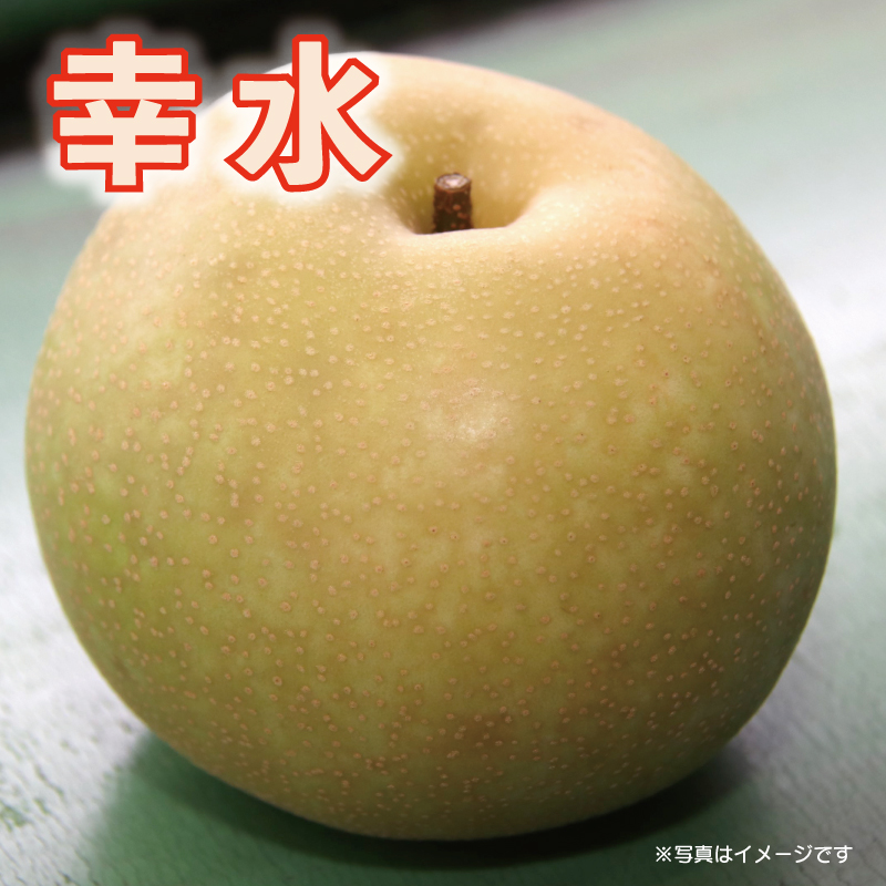 梨「幸水」１４玉入り・5ｋｇ箱【予約】