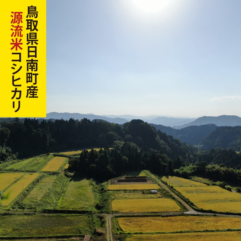 特別栽培米「源流米コシヒカリ」≪玄米≫日南町産