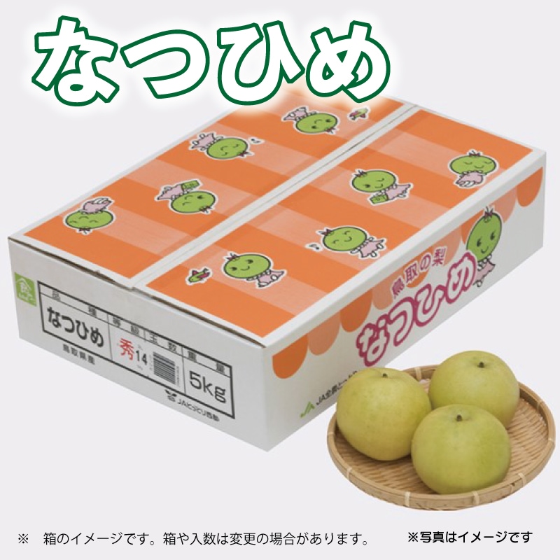梨「なつひめ」16玉入り・5ｋｇ箱【予約】