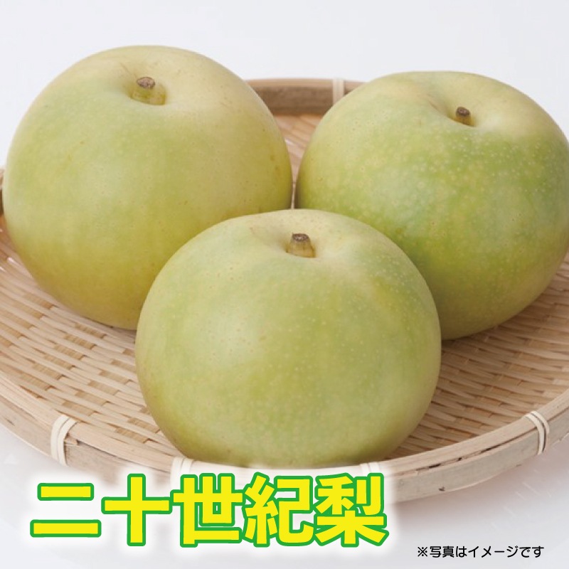 梨「二十世紀」12～14玉入り・5ｋｇ箱