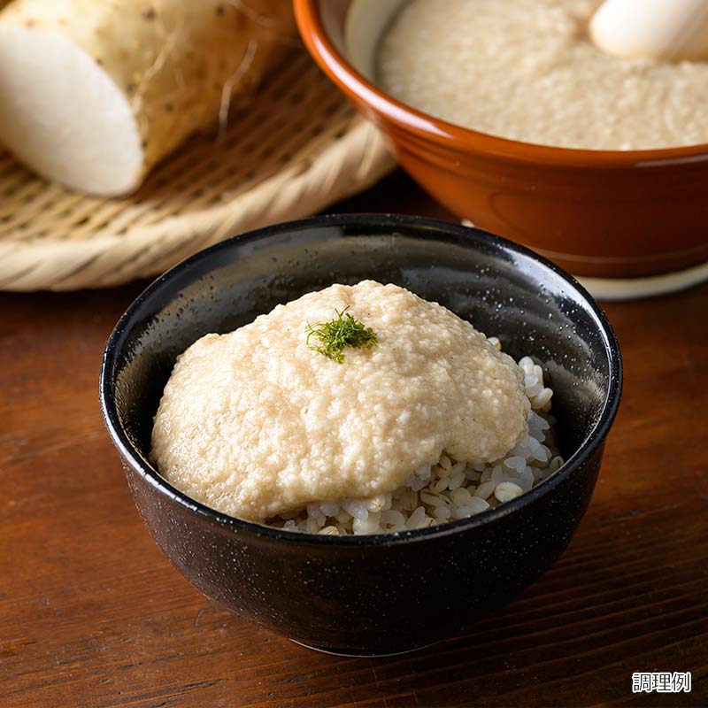 フリーズドライ国産長芋とろろ(10食)｜フリーズドライならアスザック