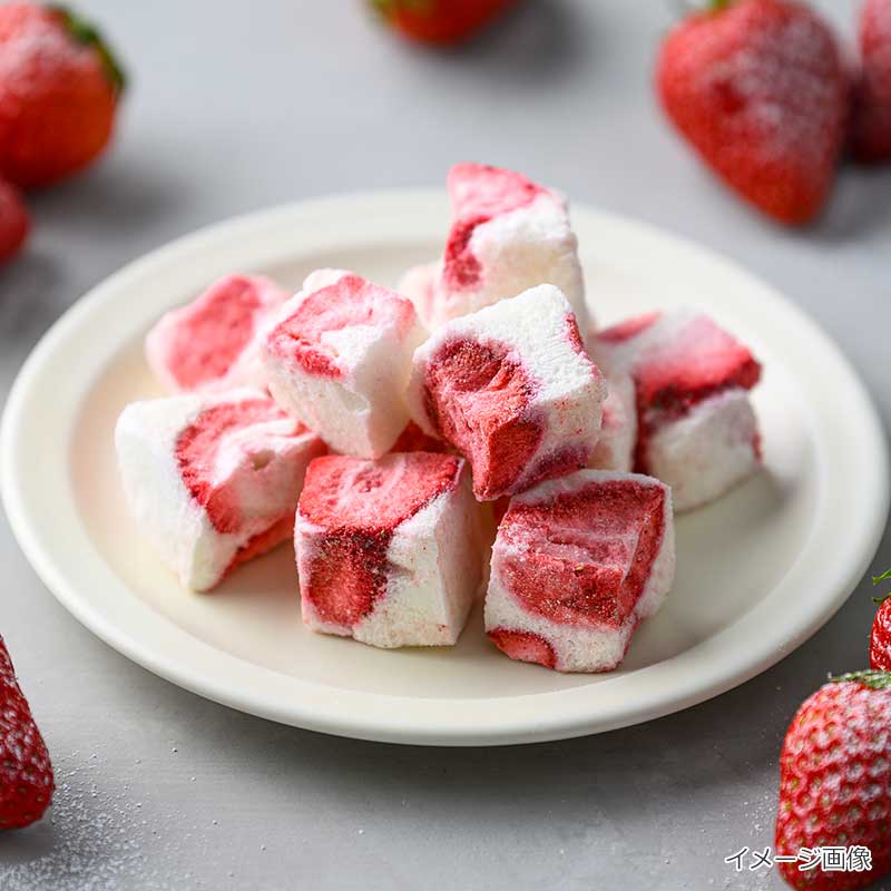 【数量限定】いちごの雪どけ（フリーズドライ）
