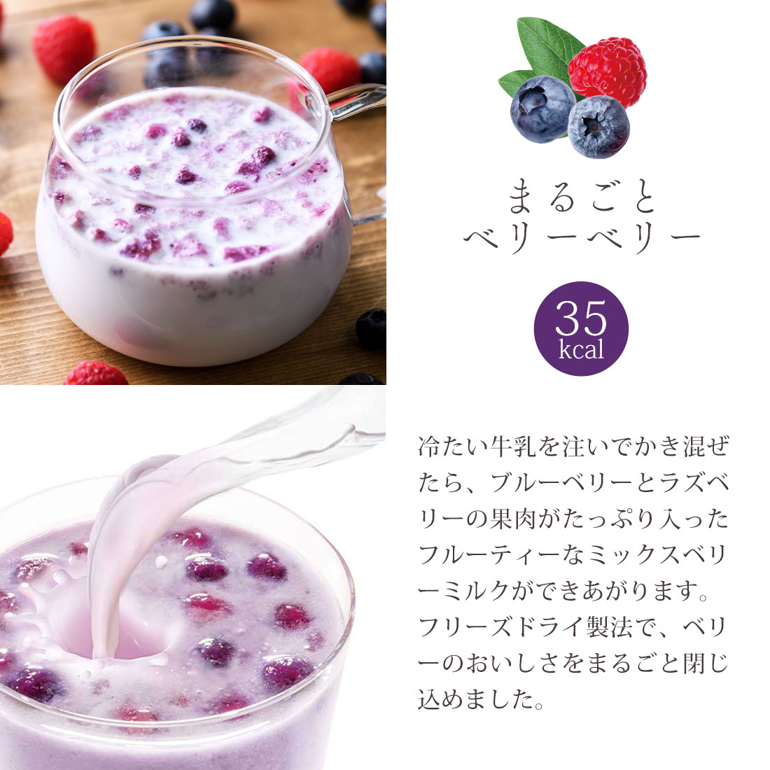 牛乳デザート3種プチギフト(6食)(フリーズドライ)