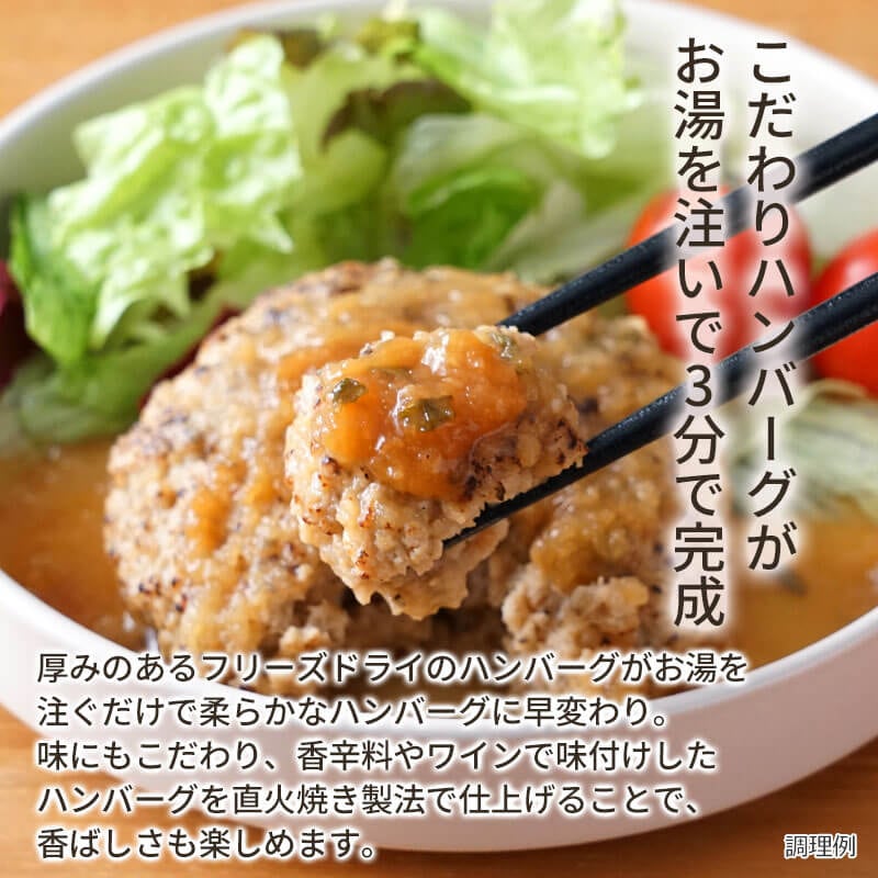 【数量限定】和風おろし直火焼きハンバーグ（フリーズドライ）