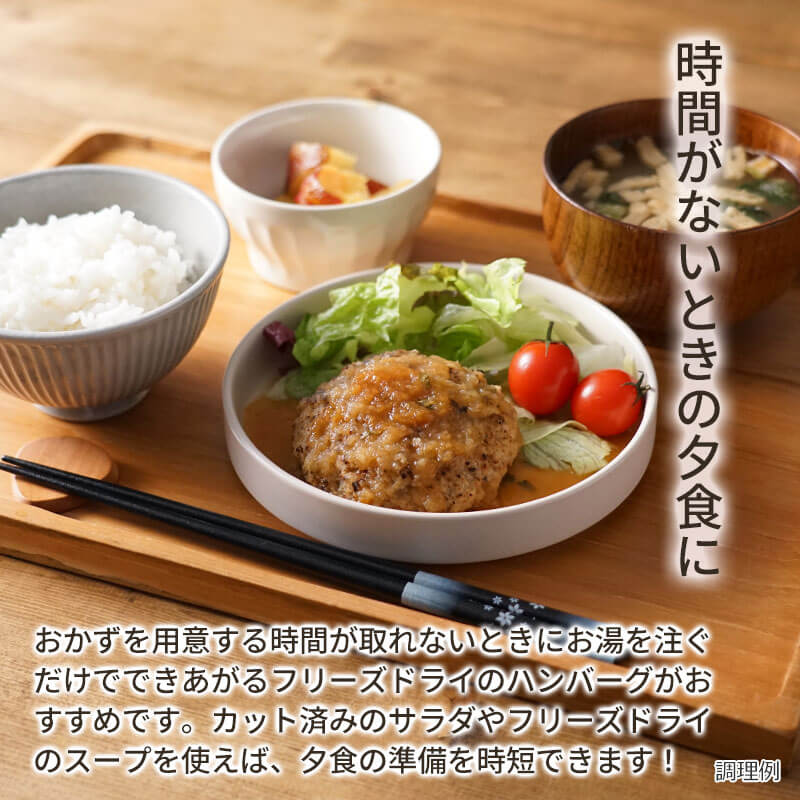 【数量限定】和風おろし直火焼きハンバーグ（フリーズドライ）