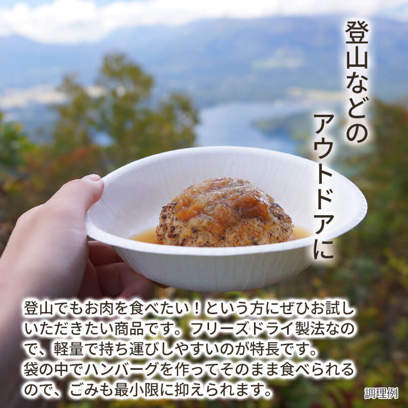 【数量限定】和風おろし直火焼きハンバーグ（フリーズドライ）