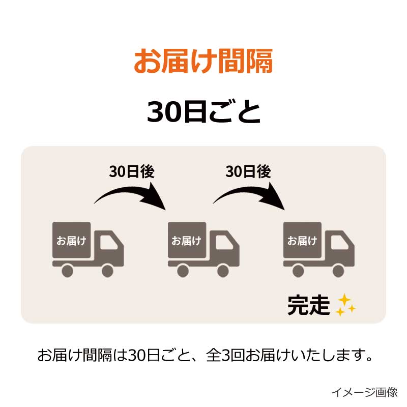 【かむこんWEEK限定】かむこん 気軽に3回コース