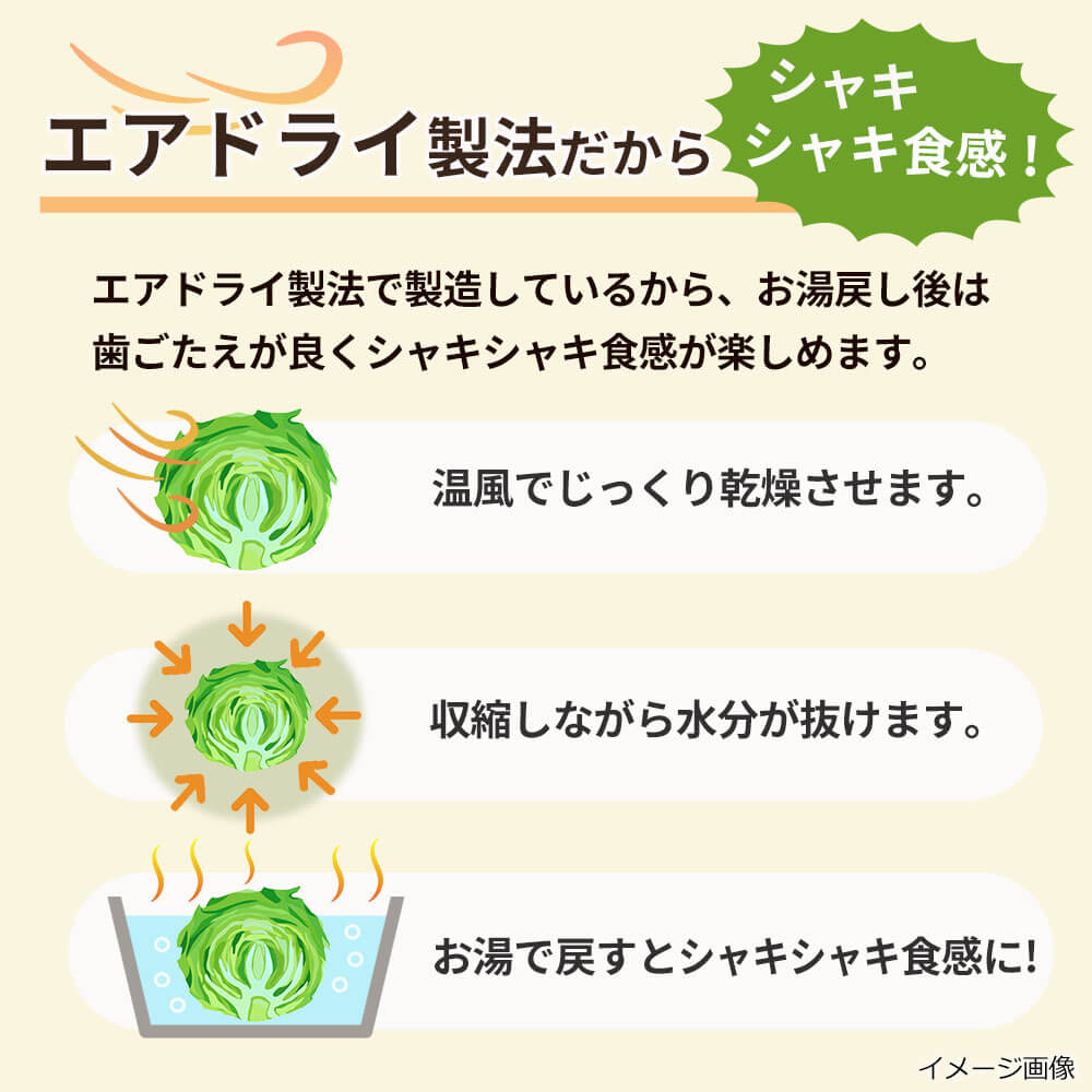 乾燥キャベツ（150ｇ）