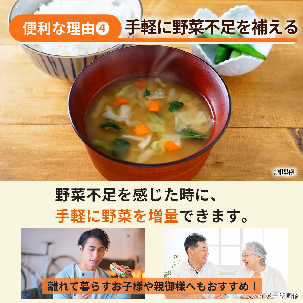 5種の乾燥野菜ミックス(100g)