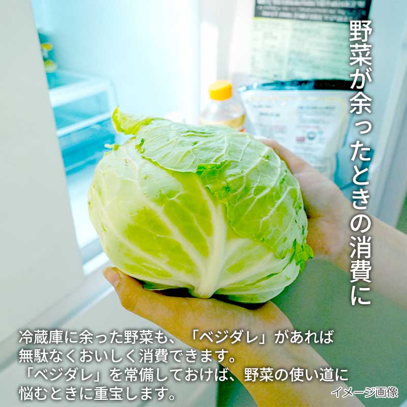 【数量限定】ザクザク食感！7種具材のベジダレ（フリーズドライ）