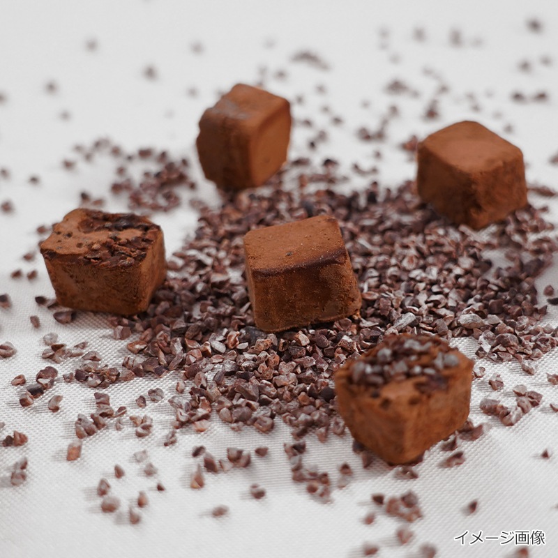 キヌガサシェード　別注チョコブラウン　ピタゴラベース数量限定カラー キヌガサシェード ピタゴラベース イベント限定カラー(ブラウン