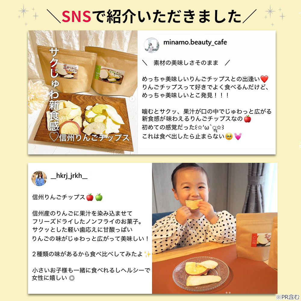 大袋信州りんごチップス　ふじ（75g）（フリーズドライ）