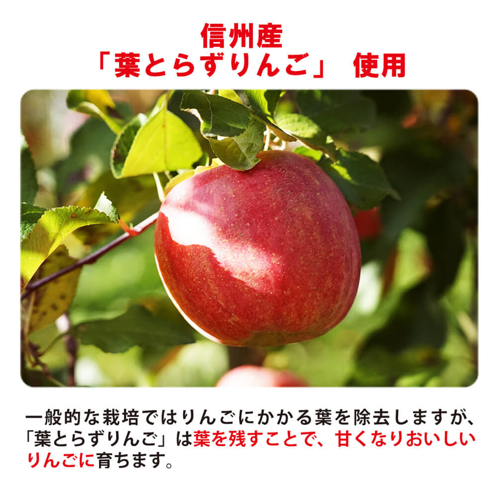 大袋信州りんごチップス　ふじ（75g）（フリーズドライ）